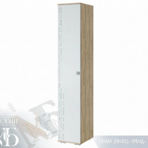 Пенал ''Тренд'' ПН-01